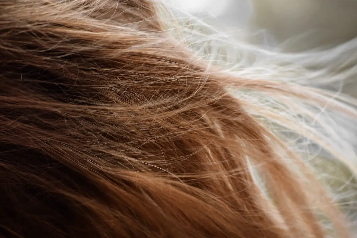 Bed Head vs. Redken